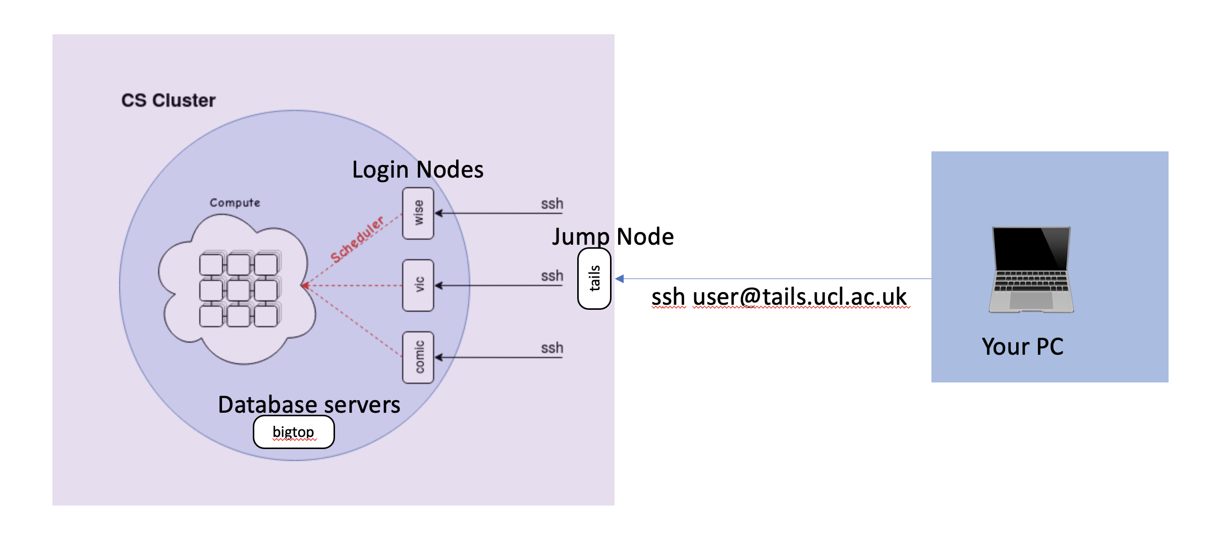 Network Diagram